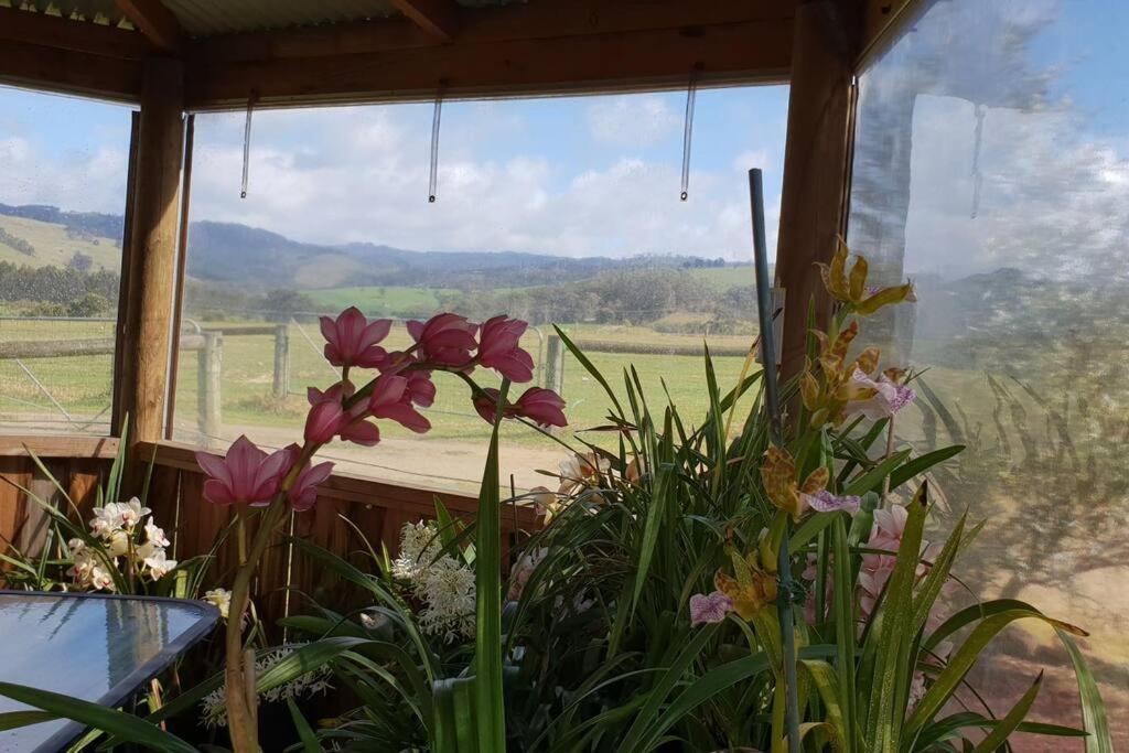 Handsome Hills Dairy Retreat Won Wron Екстериор снимка